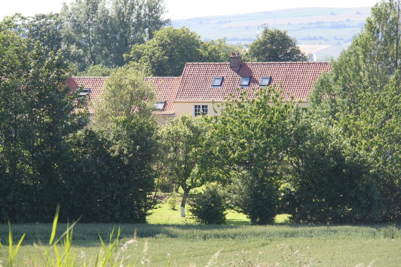 Echinghen Le Clos De Tournes المظهر الخارجي الصورة